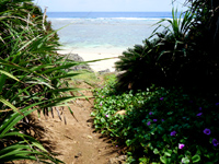 鳩間島の島仲浜 - ビーチまで少しあぜ道あり