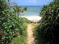 鳩間島の船原の浜 - ビーチまではこんな小道を通ります