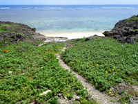 鳩間島の立原浜 - 島仲浜に似ていますが海の中は凄い良い！