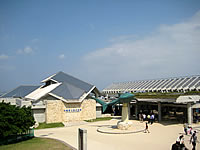 沖縄美ら海水族館(沖縄本島/北部のおすすめ観光スポット)