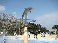 沖縄本島 北部のイルカオブジェ/噴水広場の写真