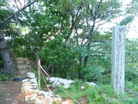 北部のタナガーグムイの植物群落/安波の滝/タナガーグムイの滝 - 入口はここだと思う・・・