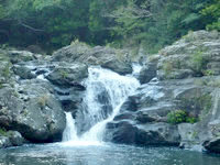 北部のタナガーグムイの植物群落/安波の滝/タナガーグムイの滝 - 滝はなかなか見応えあります