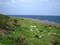 伊江島のゴルフ練習場先の海 - 断崖絶壁ですが緑豊かです