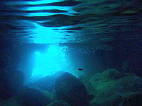 青の洞窟の海の中