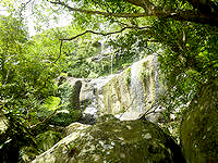 西表島のユツンの滝/ユチンの滝/三段の滝 - 登山の先に見える滝