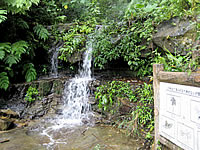 浦内川トレッキングロードの小さな滝