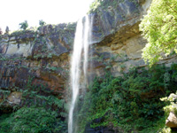 西表島のピナイサーラの滝/滝下 - ピナイサーラの滝の上側