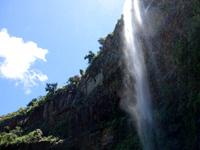 西表島のピナイサーラの滝/滝下 - ピナイサーラの滝の水落部分