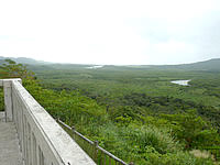西表島の仲間川展望所/横断路高台の展望台 - 景色も相変わらず熱帯雨林
