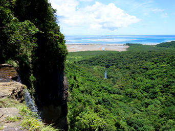 西表島のピナイサーラの滝上からの景色