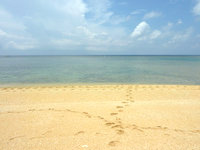 石垣島の崎枝ビーチ - 広々したビーチですが人は滅多に来ません