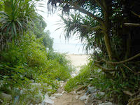 石垣島の崎枝ビーチへの道 - ビーチ入口は漂流物多し