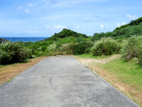 石垣島の川平石崎半島/マンタスクランブル - 突き当たりの右の草むらを進みます