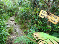 石垣島の於茂登岳への道 - 残り僅かのポイントで案内有り