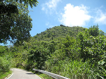 石垣島の屋良部岳：右に見える岩が載っている山