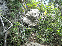 石垣島の屋良部岳 - 頂上近くになると岩が出てくる