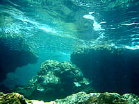 加計呂麻島の徳浜海岸アウトリーフ - 水深深くから見上げる海面がきれい