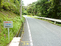 加計呂麻島の加計呂麻島ハーフマラソンコース - アップダウンがきついコース