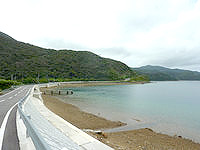 加計呂麻島の加計呂麻島ハーフマラソンコース - 海岸線を通る場所もあるがその後は上り