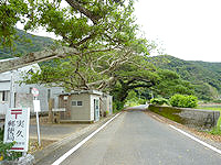 加計呂麻島の加計呂麻島ハーフマラソンコース - 実久郵便局が見えたら折り返しまであと少し