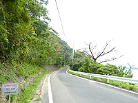 加計呂麻島の加計呂麻島ハーフマラソンコース - 10km地点から折り返しまでは上り
