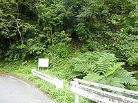 加計呂麻島の嘉入の滝上部 - 瀧の左脇に上へと上がる獣道がある