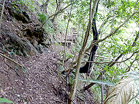 加計呂麻島の嘉入の滝上部 - こんな感じの道を上がります