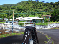 加計呂麻島の飯屋たづき - 幹線道路に看板出ています