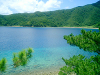 加計呂麻島の阿多地の海