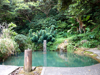 喜界島「雁股の泉」