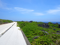 沖縄本島離島 北大東島の南側の道の写真