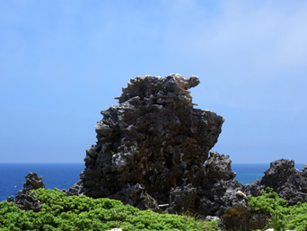北大東島のゴリラ岩/奇岩