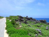 北大東島のゴリラ岩/奇岩 - カルストの岩は芸術的で面白い