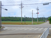 沖縄本島離島 北大東島の北大東島の集落の写真