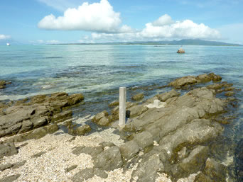 浜島の浜島の岩場：小潮：「島」であるゆえんの岩場