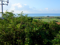 小浜島の大岳展望台からの景色 - 南東側には森と邪魔な鉄塔あり