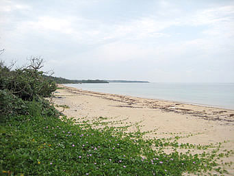 小浜島の南風花海岸/ウータ浜：自然のままのビーチです