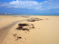 トゥマールと小浜港の間のビーチ