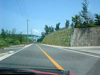 沖縄本島離島 屋我地島の古宇利大橋へと向かう道の写真