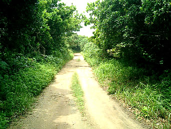 久高島の久高島の道：久高島南側ののどかな道路です