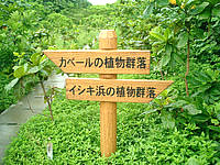 久高島の久高島の道 - 左がカベール、右がイシキ浜です