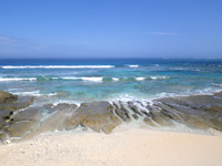 久高島のカベールの植物群落/カベール岬 - 砂浜はあるけど泳ぐには厳しい波