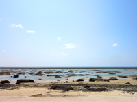 久米島のシンリ浜 - 潮が引くと綺麗とは言えない状態に…