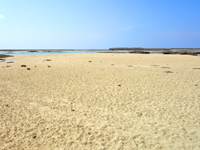 久米島のシンリ浜 - 干潮時は干潟みたいである意味面白い