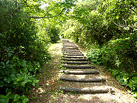 久米島の登武那覇園地上 - 下からはこの階段と・・・