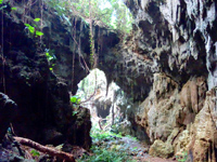 久米島のヤジャーガマ洞窟/鍾乳洞 - 実質鍾乳洞出口