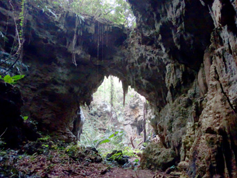 久米島のヤジャーガマ遺跡/久米島町指定文化財：鍾乳洞を出た先の場所