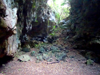 久米島のヤジャーガマ遺跡/久米島町指定文化財 - 鍾乳洞はこの左側から戻ります