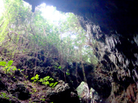 久米島のヤジャーガマ遺跡/久米島町指定文化財 - 空に向かって空く穴と鍾乳石は神秘的